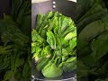 Easy Spinach Stir Fry