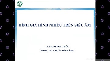 #02 Hình giả, hình nhiễu siêu âm. TS.BS. Phạm Hồng Đức.