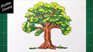 How to Draw an Oak Tree
