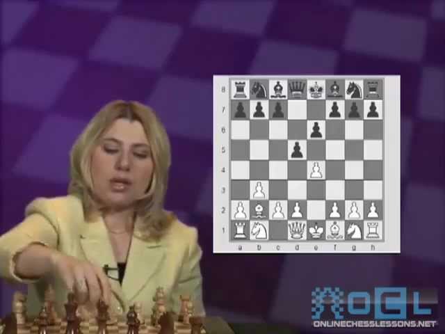 Chess Opening Secrets Revealed*: Chess: Understanding the French