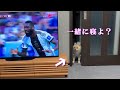 サッカーを観たい息子と、早く一緒に寝たいポメラニアンのポメくん