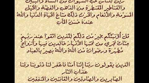 سورة ال عمران من 14 الى 17.wmv