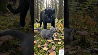 Bir Anne Her Şeyi Göze Alır