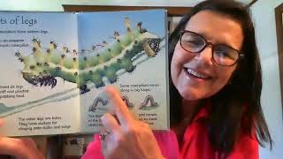 Story Time with Mrs. Loria - Caterpillars and butterflies - Usborne Beginners