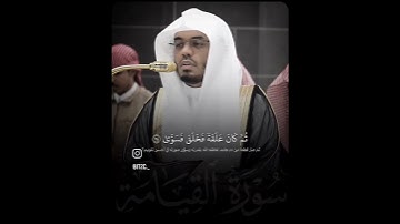 سورة القيامة تلاوة القارئ ياسر الدوسري #quran #yasseraldossary #تلاوة_خاشعة #قرآن_كريم #راحة_نفسية