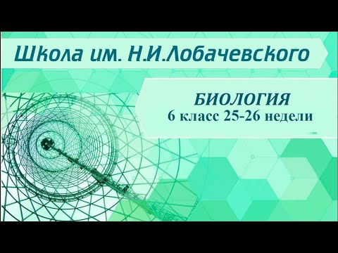 Биология 6 класс 25-26 недели. Раздражимость и движение