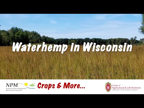 Video: Koliko skupštinskih okruga ima u Wisconsinu?