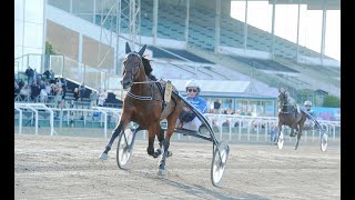 CALGARY GAMES TRIONFA NEL DERBY DI SVEZIA - JAGERSRO 2021 - NEW WORLD RECORD 1.11.7 ON 2640 Mt. screenshot 4