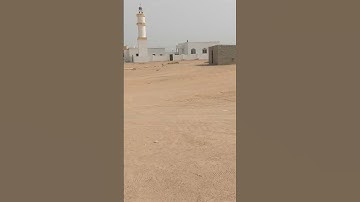 قران كريم تلاوات الصوت جميل جيدا القاري محمد الفقيه #المصحف #الشيخ_محمد_الفقيه #محمد_الفقيه