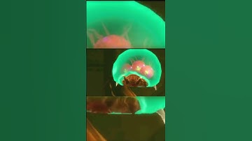 What are SR-388 Metroids? (Samus Returns) #Shorts