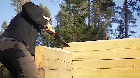 I built a tiny LOG CABIN in my backyard  From star...