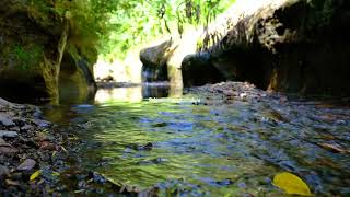 9 Hours Relaxing Nature Sounds Forest River-Sleep Relaxation-Sound of Water