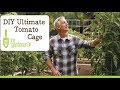 How to Make the Ultimate Tomato Cage