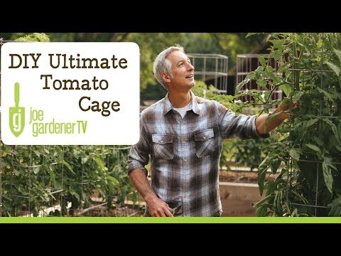 Wideo: Wskazówki dotyczące budowania klatek na pomidory