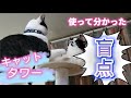 【キャットタワー】使って気付いた意外な事！　 #保護猫　＃ハチワレ　＃キャットタワー
