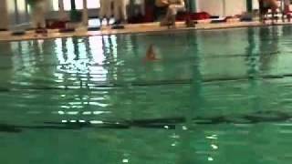 Nika Bozelie - Viva El Tango