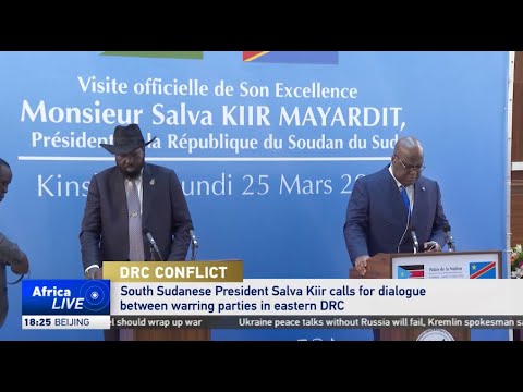 South Sudan president calls for end to eastern DR Congo conflict