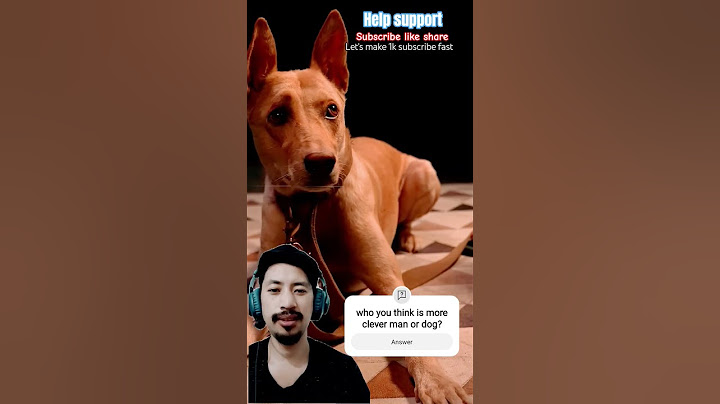 Humans vs Dogs – Who’s Smarter?! 🐶😂 | Kuldeep Singhaniaa  | smart pets video 2025 most views #shorts