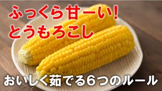 【とうもろこしの正しい茹で方】正しいレンチンと冷凍保存。水から茹でると本当においしいの?レンチンVS茹でる、本当においしいのはどっち?