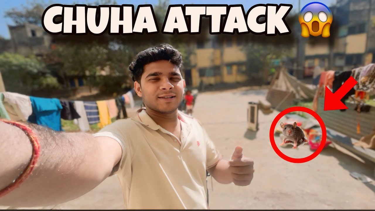 Ghar Me Chuho Ka Attack 😱 | Raat Bhar Darr Me Rahe !! 365 Day !! Challenge Day 41 