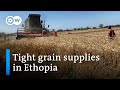 Why Ethiopia is struggling with scarce grain supplies | DW News