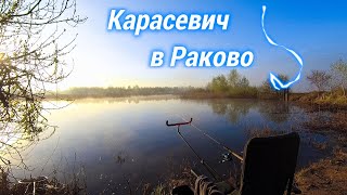 Карась в Раково на фидер и флэт/ Ловля карася весной