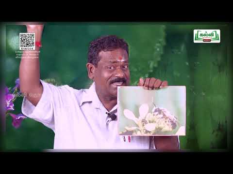 வகுப்பு 2 | சூழ்நிலையியல்| வியத்தகு இயற்கை -- Kalvi Tv Videos - 10.03.22