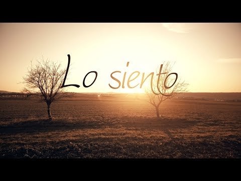 BERET - LO SIENTO [VIDEOLYRICS OFICIAL/ LETRA]