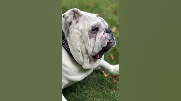 How I Tricked My Brain Into Stopping Food Cravings And You Can Too