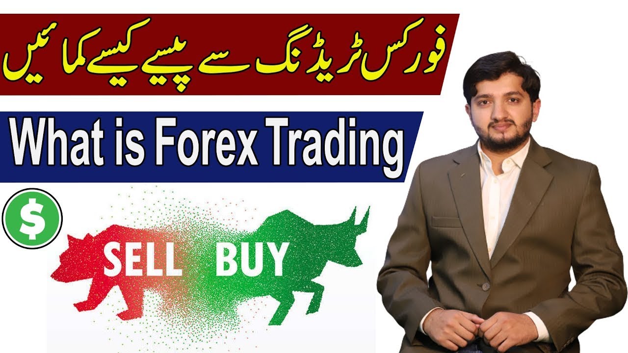 Forex Trading Course For Beginners: How To Trade Forex & What is Forex ...