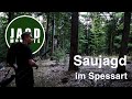 Saujagd im Spessart  | JagdMomente mit Freunden | Folge 1