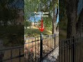 Find and Access through Gate of 520 Lacey