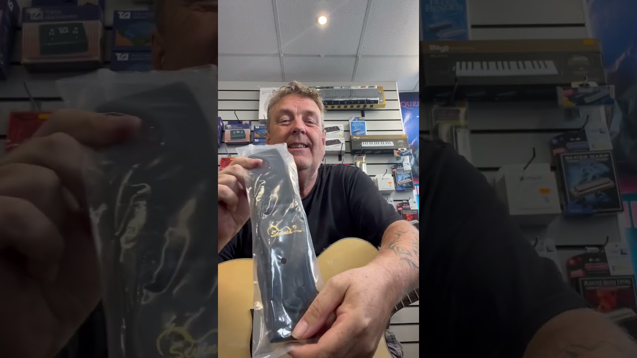 Sevina electro acoustic 