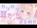 【甘々ASMR/黒3dio/ノイキャン無し生音】カリカリ♥コシコシ♥オノマトペ♥ #くまくまたいむ【日色くま】