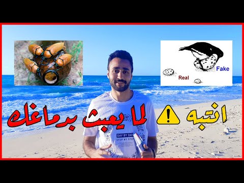 ما هي المحفزات الفائقة وكيف تسرق دماغك وتجعلك تفعل أشياء غير منطقية عبدالرحمن قنديل