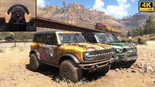 Rebuilding Ford Bronco & Land Rover Defender | Forza Horizon 5 | Logitech g29 gameplay