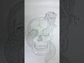 Sketch of a skull with snake #sketch #trending #shorts #skull #snake #art