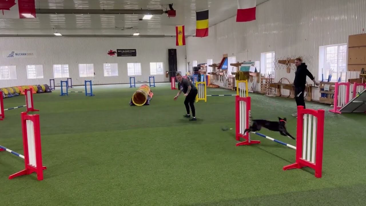 5-Alive's 1st Agility Seminar