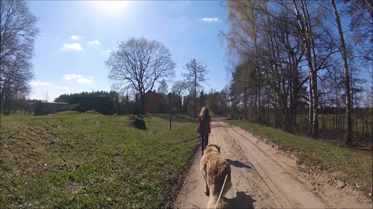 Деревенские будни. Влог #31. Прогулка по лесу.