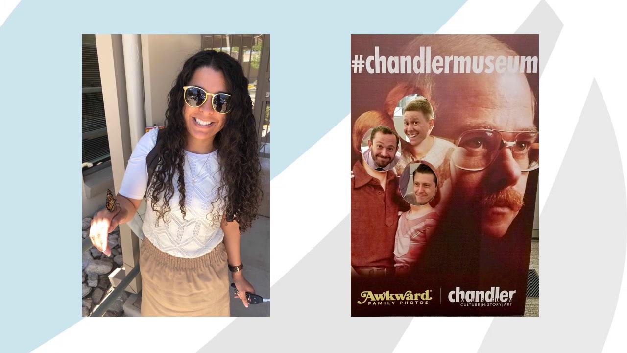 End of the 2018-19 Audit Season