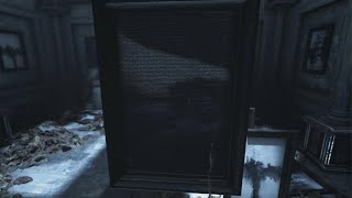 Visage_Painting Puzzle Solved (Dolores) screenshot 5