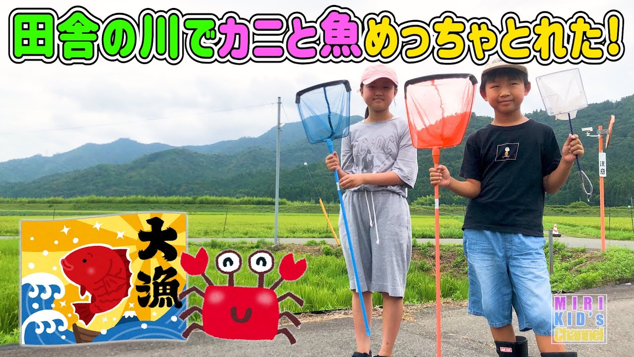 【大漁】田舎の川でカニと魚めっちゃ捕まえた❗️