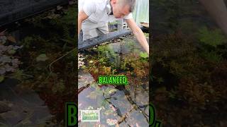 FAVORITE BASIN! It is BALANCED!
