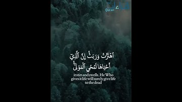 تلاوة تأخذ بمجامع القلب ❤️ #الشيخ_سعد_الغامدي | ما تيسر من سورة فصلت #قراءات ..