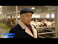 Новую ферму на 200 коров построили в селе Тангуты Нукутского района