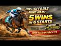 Nine Part All 6 Starts | 5 Wins, 1 Second | Future Horse Racing Star?