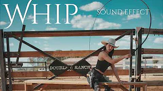 WHIP SOUND EFFECT WHIP SOUND EFFECT