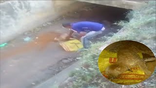 The man tried to get into the dry river to save the dog,for him, every life is extremely precious.