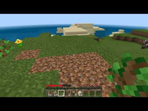 Video: Hvordan fungerer et Minecraft-frø?