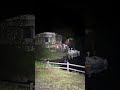 ベアサウンド #心霊 #心霊配信